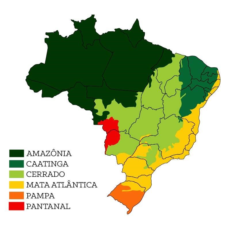Análise dos dados históricos dos últimos 20 anos da Amazônia 2