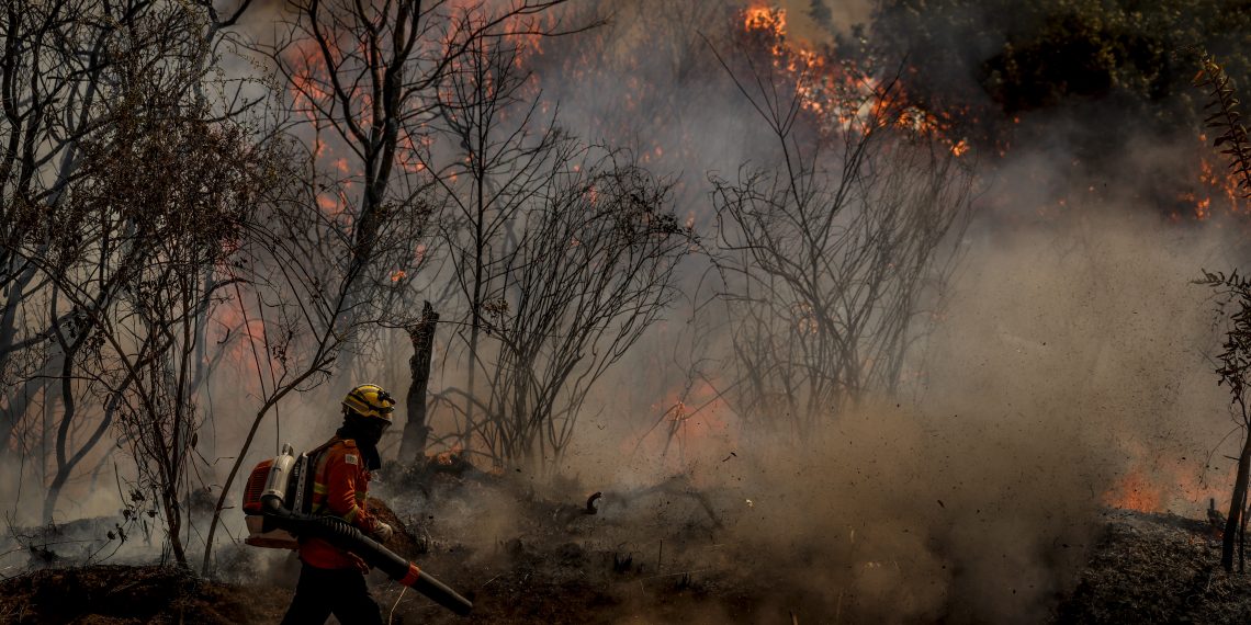 Brasília (DF), 24/08/2024 - Brigadistas do Instituto Brasília Ambiental e Bombeiros do Distrito Federal combatem incêndio em área de cerrado próxima ao aeroporto de Brasília. Foto: Marcelo Camargo/Agência Brasil