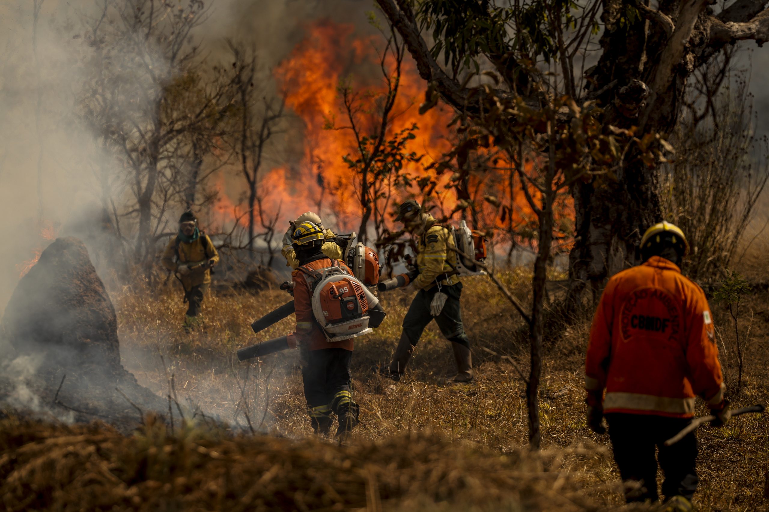 Cerrado: incêndios em agosto devastaram área 2 vezes maior que o Distrito Federal 1