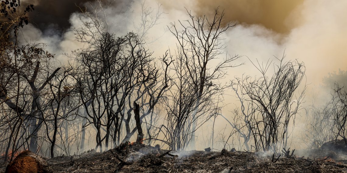 Foto: Marcelo Camargo/Agência Brasil