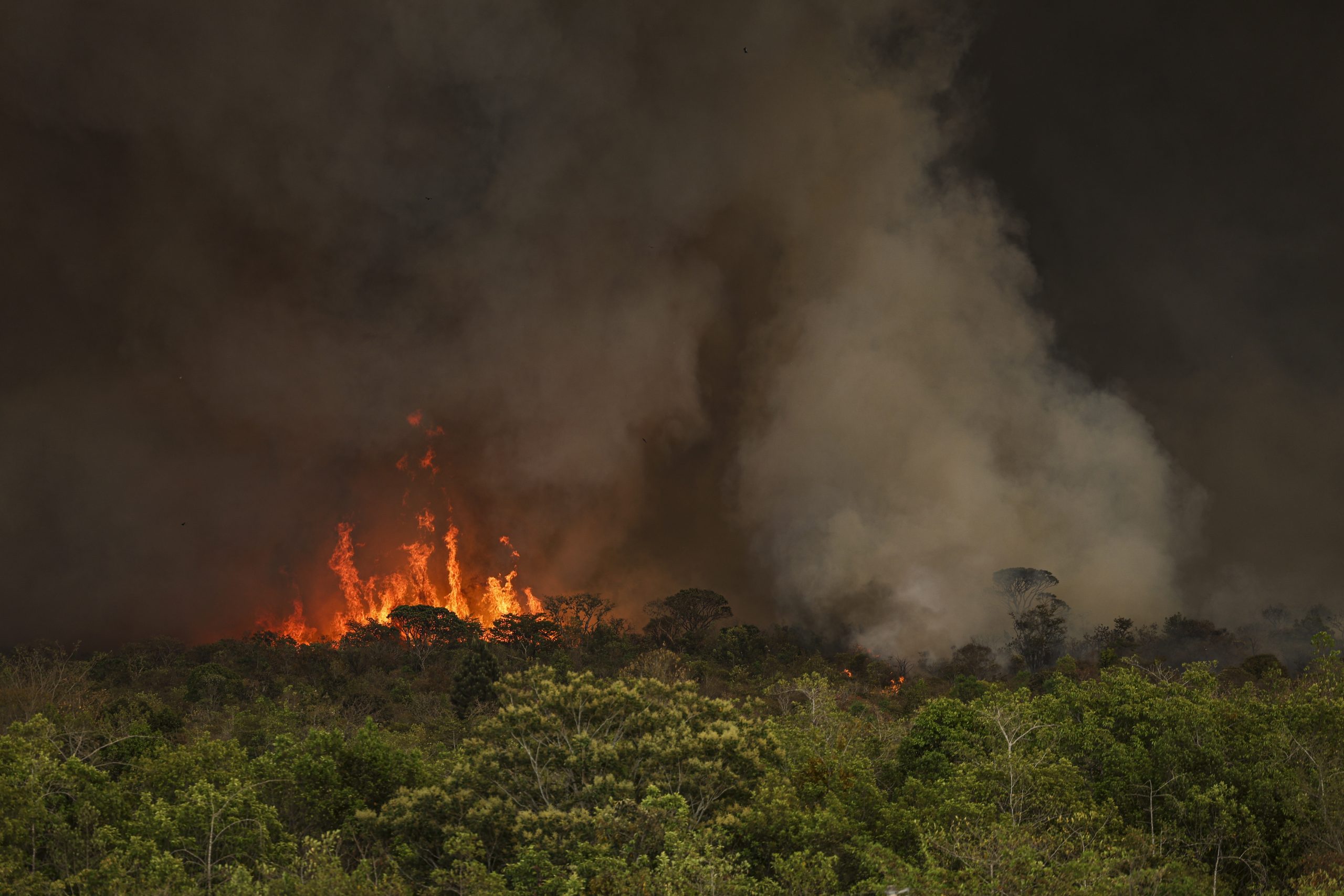 Queimadas causam prejuízo de R$ 14 bilhões à agropecuária, aponta CNA 1